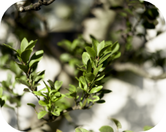 4.ブログのタイトルが入ります。ブログのタイトルが入ります。ブログのタイトルが入ります。